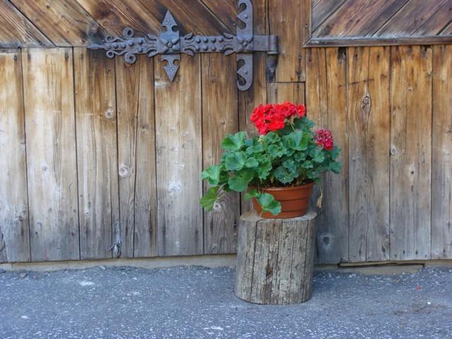 Holiday Home Patchwork Barn Zakopane Rum bild
